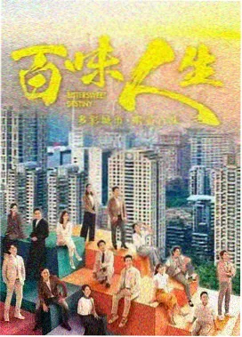 空港二十四小时 热播电视剧免费播放